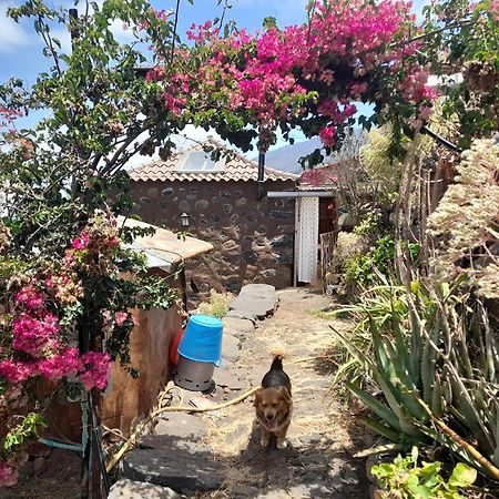 Abracaribes Bed & Breakfast Arecida Exterior photo